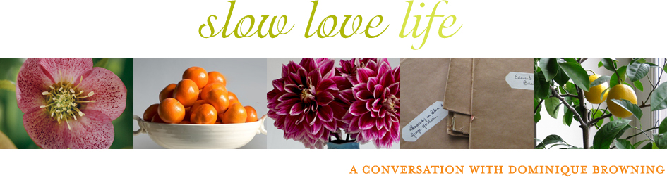 Slow Love Life